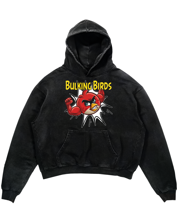 Birds Oversized Hoodie